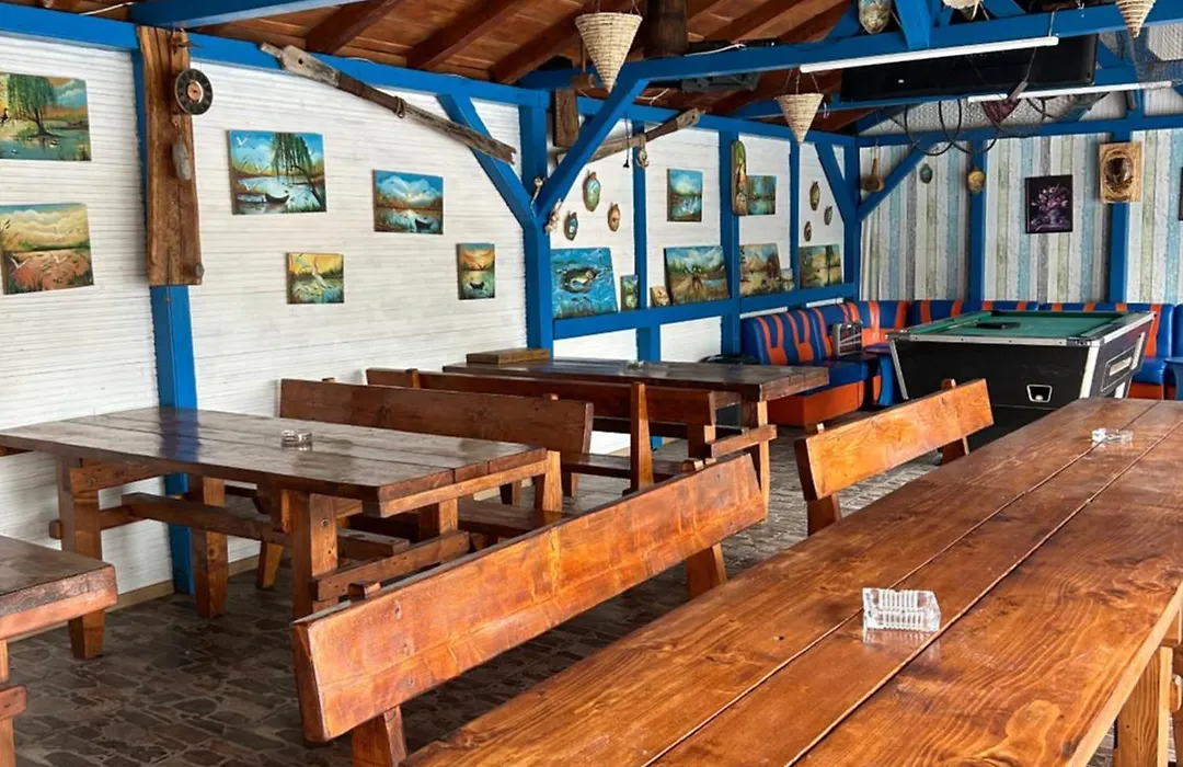 Casa Iris Murighiol-1