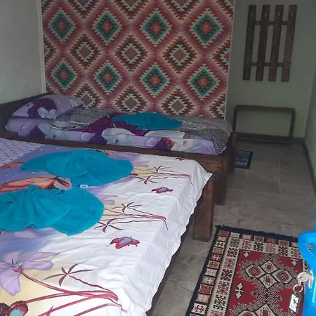 Casa Iris Murighiol-3